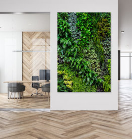 Akustikpaneele für Wand & Decke in bester Qualität | freiraum Akustik