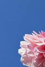 Pink space