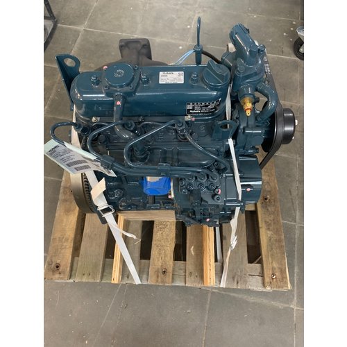 Kubota Kubota D905 Standard NEU Motor