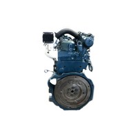 Kubota Kubota V2003-T Motor im AT in Schäffer,Aebi,Weidemann u.a