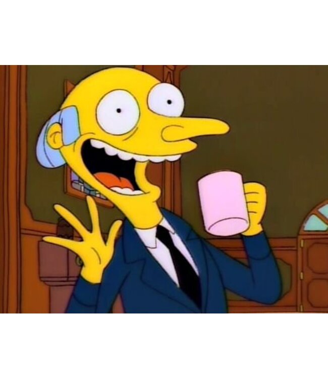 Mr Burns