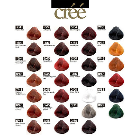 Créé  Kleurenboek  Large