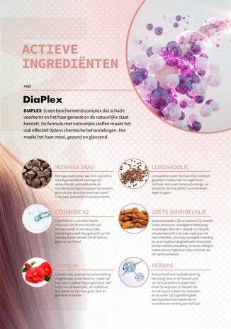 DCM Perfect Laminoplex Shampoo 1000ml DCM Perfect Laminoplex Shampoo 1000ml