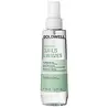 Goldwell Dualsenses Curls & Waves Bundling Spray 150ml