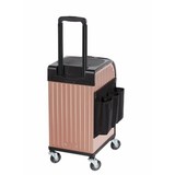 Sibel ROLLERCOASTER STOOLCASE SIBEL Roze goud