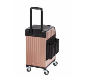 Sibel ROLLERCOASTER STOOLCASE SIBEL Roze goud