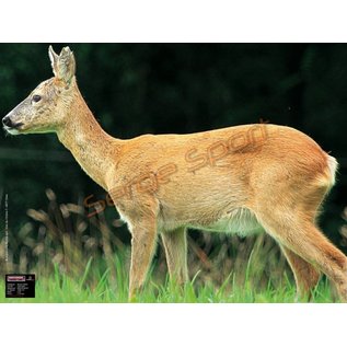 Maximal Maximal 2D Targets Chasse -  20pcs