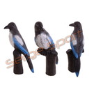 Beier 3D Target Magpie