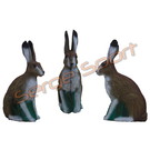 Imago 3D 3D Target European Hare