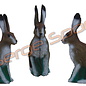 Imago 3D 3D Target European Hare