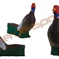 Imago 3D 3D Target Pheasant - Standing