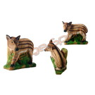 Imago 3D 3D Target Piglet Boar