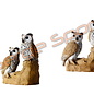 Imago 3D 3D Target Owls