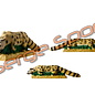 Imago 3D 3D Target Genet - Running