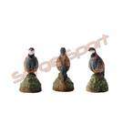 Imago 3D 3D Target Partridge - Singing