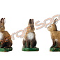 Natur Foam 3D Target Rabbit - Standing