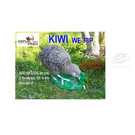 Natur Foam 3D Target Kiwi