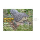 Natur Foam 3D Target Hedgehog With Snail