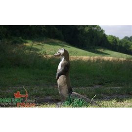 Natur Foam 3D Target Weasel - Standing