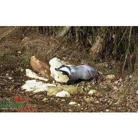 Natur Foam 3D Target Badger