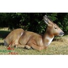 Natur Foam 3D Target Roedeer Doe - Sitting