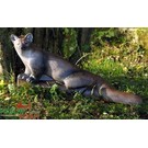 Natur Foam 3D Target Marten