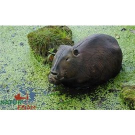 Natur Foam 3D Target Beaver