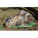 Natur Foam 3D Target Hare - Bedded