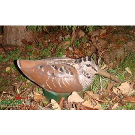 Natur Foam 3D Target Woodcock