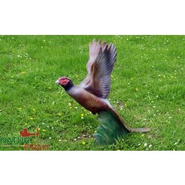 Natur Foam 3D Target Pheasant - Soaring