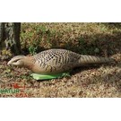 Natur Foam 3D Target Pheasant - Hen