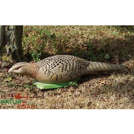 Natur Foam 3D Target Pheasant - Hen