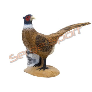 SRT 3D Target Pheasant