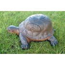 Wild Life 3D Target Turtle