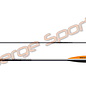 Easton Easton Platinum Plus - 12 Arrows excl point