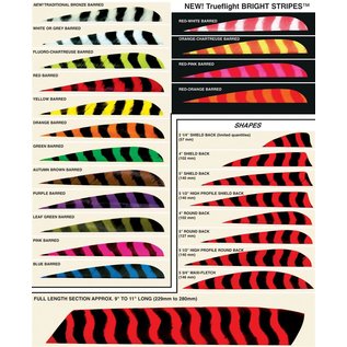 Trueflight Trueflight Feathers Full Length (10"/25.4cm) 100pcs