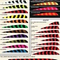 Trueflight Trueflight Feathers Full Length (10"/25.4cm) 100pcs
