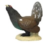 SRT SRT 3D TARGET WOODGROUSE - GROUP 3 - L64CM H66CM