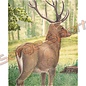 JVD Target Face Animal Deer