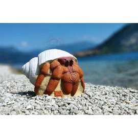 3D Archery 3D INTERNATIONAL 3D HERMIT CRAB