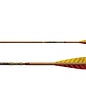 Easton EASTON ARROWS CARBON AXIS TRADITIONAL 6/pck