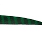 Skylon SKYLON BARRED COLOR FEATHERS 24/PK