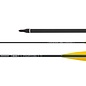 Skylon SKYLON ARROWS CARBON FRONTIER ID6.2/st Point incl.