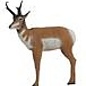 Delta-McKenzie DELTA MCKENZIE TARGETS 3-D PRO SERIES 21420 PRONGHORN ANTELOPE