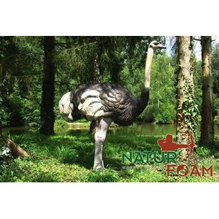 Natur Foam NATUR FOAM 3D TARGET OSTRICH