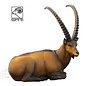 SRT SRT TARGETS 3-D IBEX BEDDED - GROUP 1 - L96CM H43CM