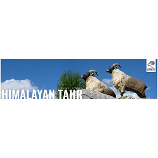 SRT SRT 3D TARGET HIMALAYAN TAHR