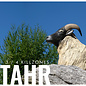 SRT SRT 3D TARGET HIMALAYAN TAHR