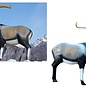 SRT SRT TARGETS 3-D WILD GOAT - GROUP 1 - L97CM H90CM