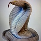 Eleven Eleven Target 3D Cobra